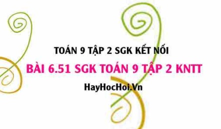 Bài 6.51 SGK Toán 9 tập 2 Kết nối tri thức